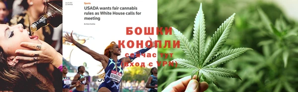 тгк Вяземский