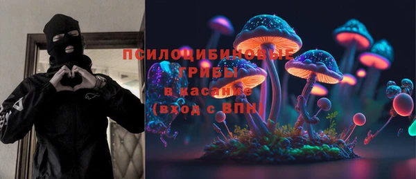 тгк Вяземский