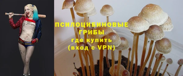 молекула духа Вязники