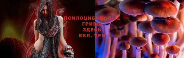 дживик Вязьма