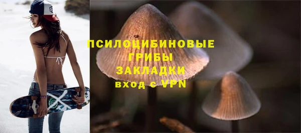 дживик Вязьма