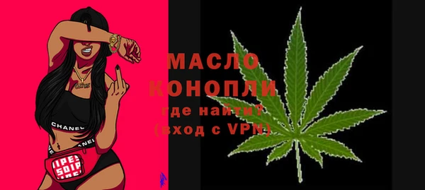 тгк Вяземский