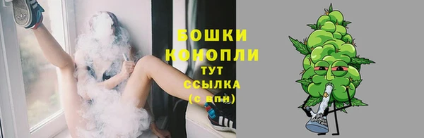 тгк Вяземский