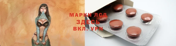дживик Вязьма