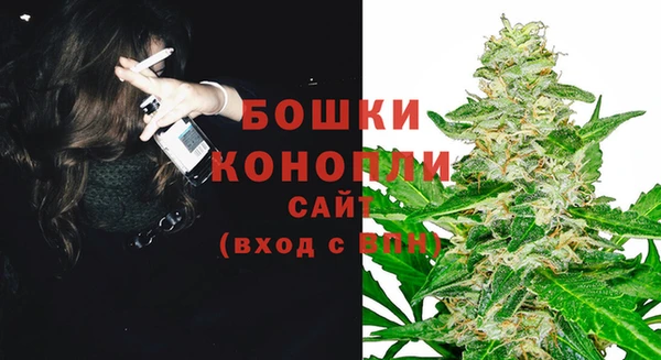 тгк Вяземский